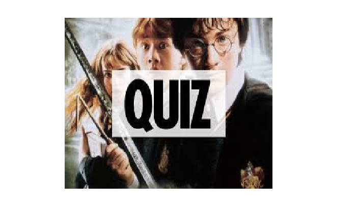 Co wiesz o Harry’m Potterze?