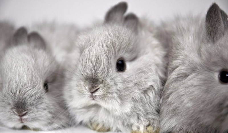 Czy powinniście być razem ? Przeznaczenie