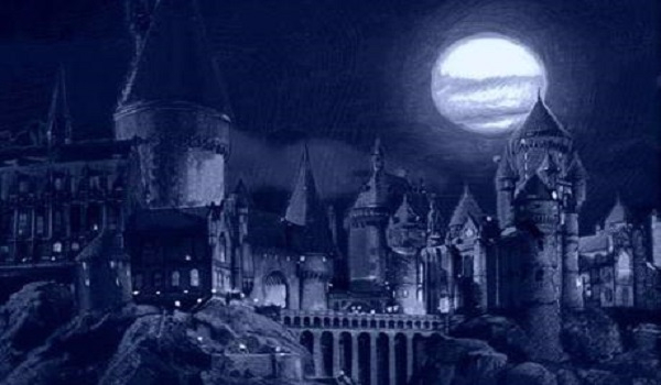 Twoja niezwykła przygoda w Hogwarcie #8 Hogwart
