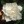 Arstics