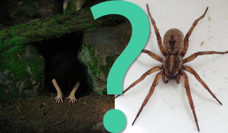 17 pytań z serii „Co wolisz?”