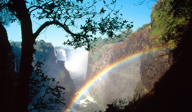 Jak bardzo lubisz naturę?