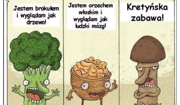 którym memem jesteś