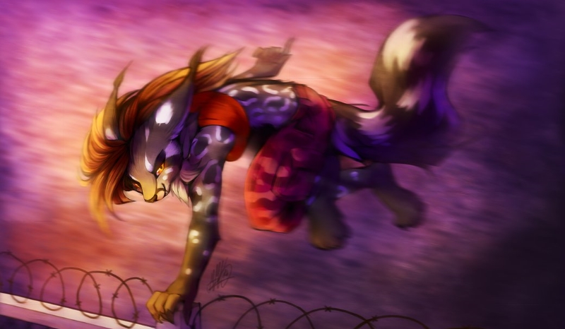 Katt the starcat [2]