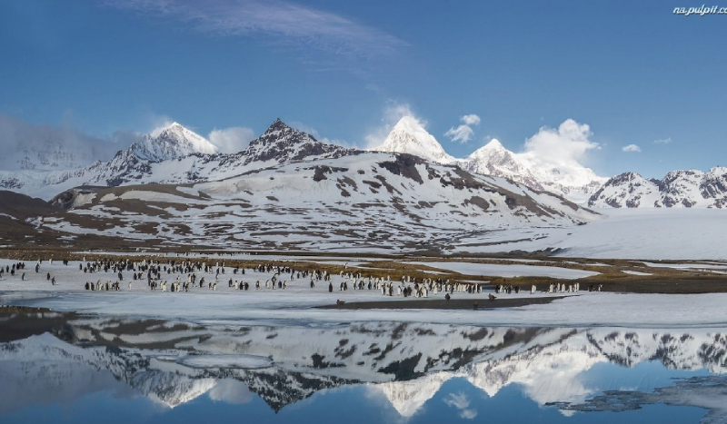 Ile wiesz o grach komputerowych?