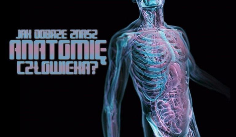 Jak dobrze znasz anatomię człowieka?