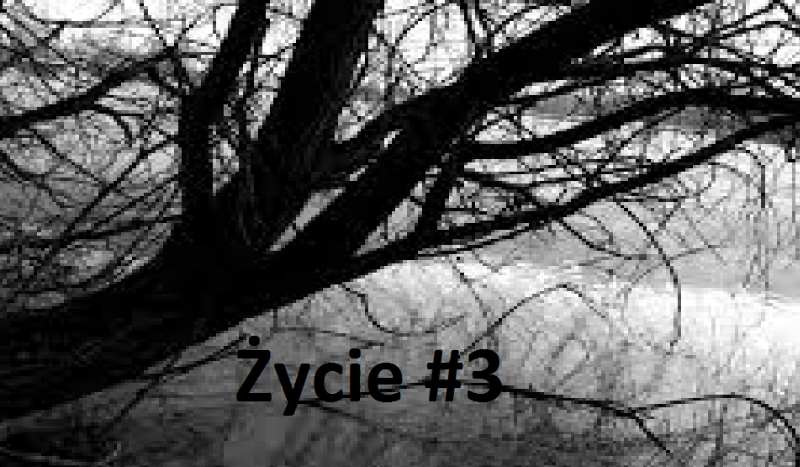 Życie #3