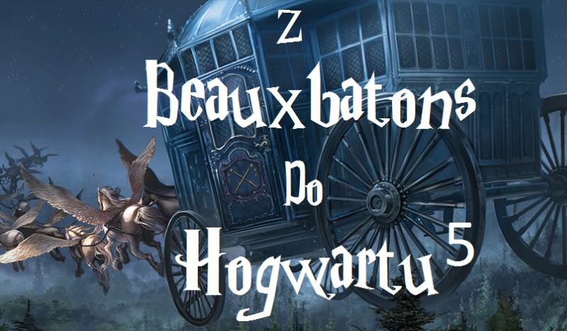 Z Beauxbatons do Hogwartu #5