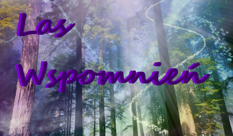 Las Wspomnień #1