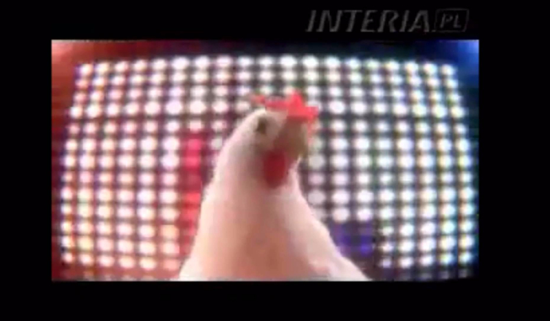 ile wiesz o siledziuGT