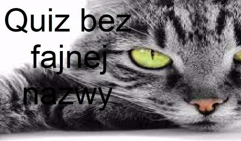 Quiz bez fajniej nazwy #1