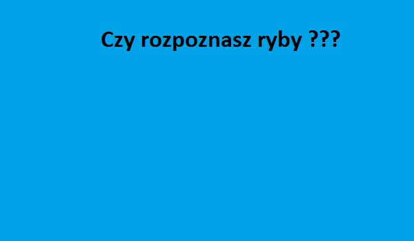 Czy rozpoznasz ryby
