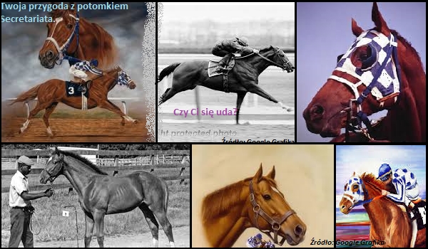 Twoja przygoda z potomkiem Secretariata.