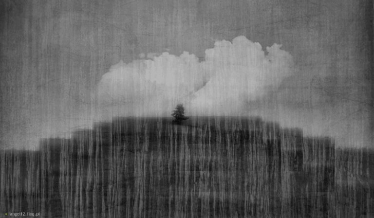 Jak dobrze znasz SellSowę?