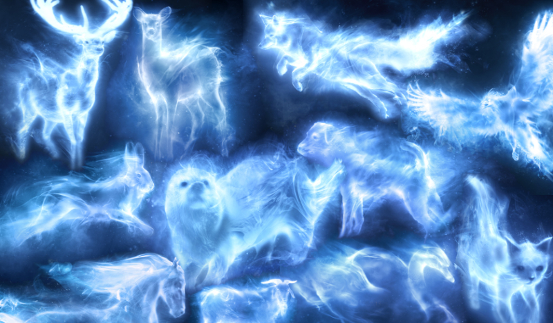 Jaki jest twój patronus? (test plemienny)