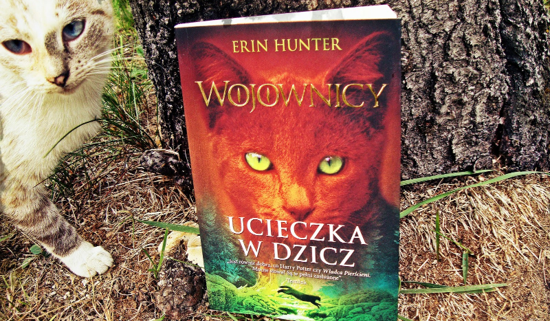 Kim jesteś z Klanu Pioruna?