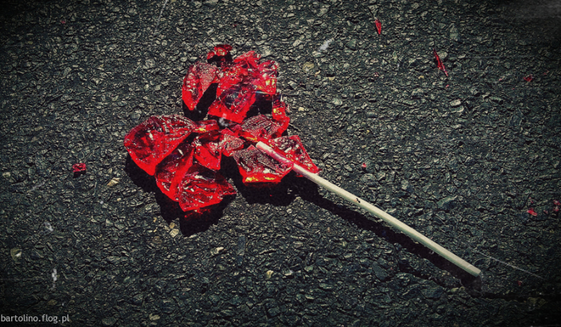 Utracona miłość #1