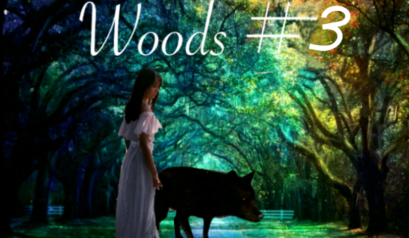 Woods #3
