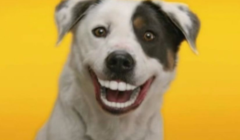 Masny w czoło trzasny