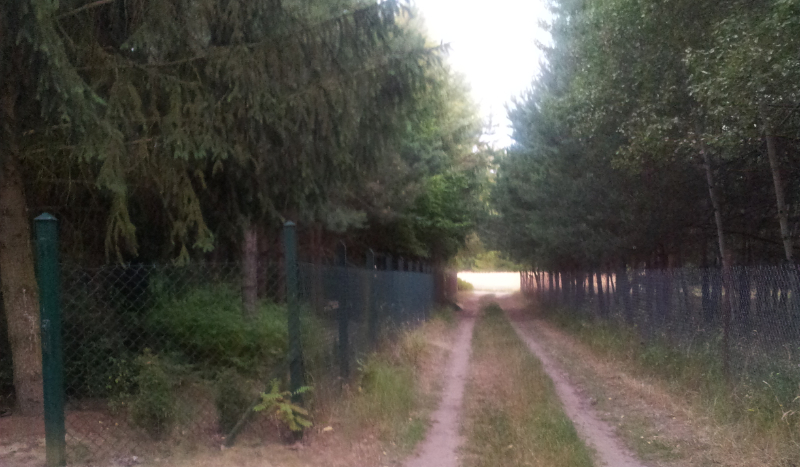 Jakim typem Wersona jesteś?