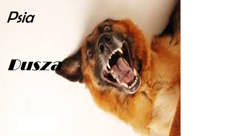 Psia Dusza #2