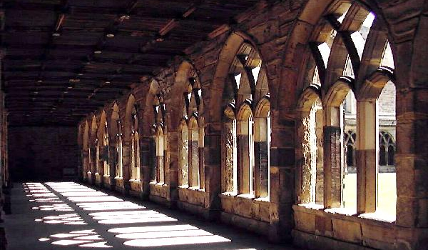 jak zakończy się twoja przygoda z Drago jako ciocia Harrego#3