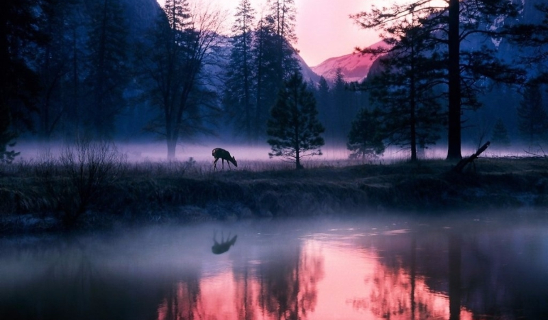 Obóz Przetrwania #1