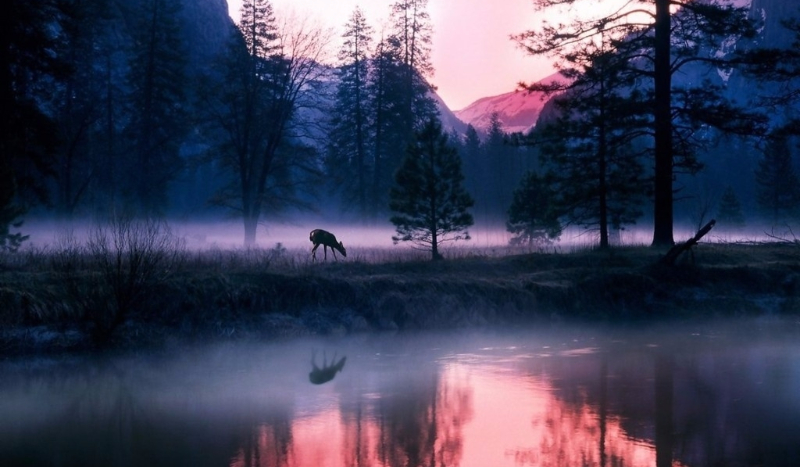 Obóz Przetrwania – WSTĘP