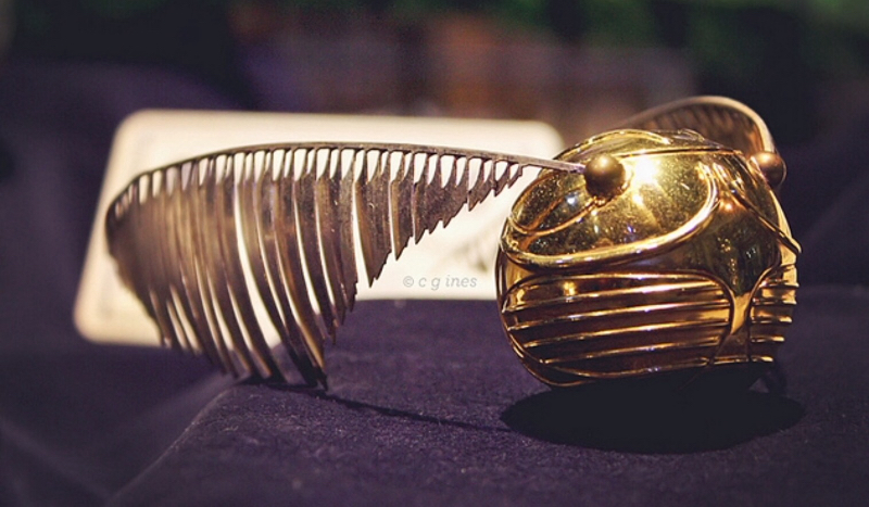 Jesteś czarodziejem czy mugolem ?