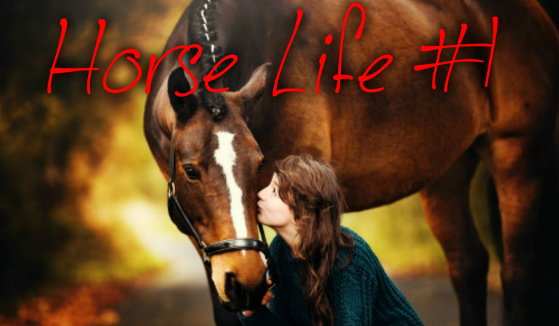 Horse life #1