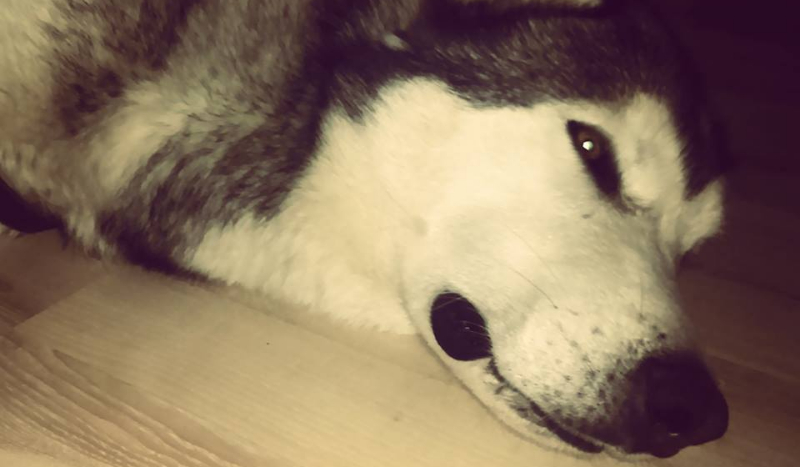 Bardzo ważne!!!!!!!!!!!!!!!!!!!!!!!!!!