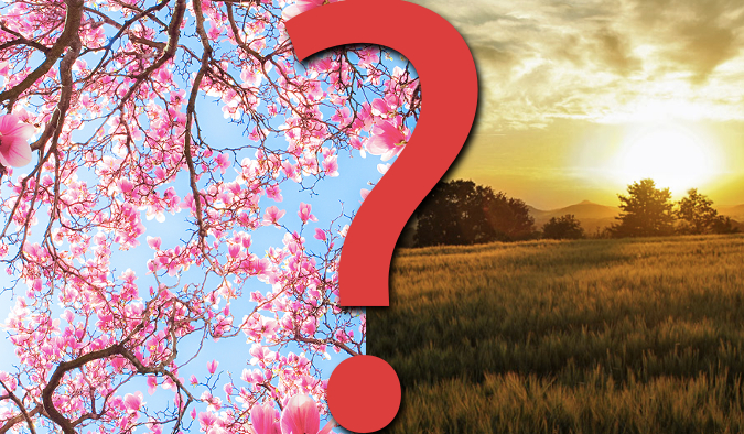 15 pytań z serii „Co wolisz?”