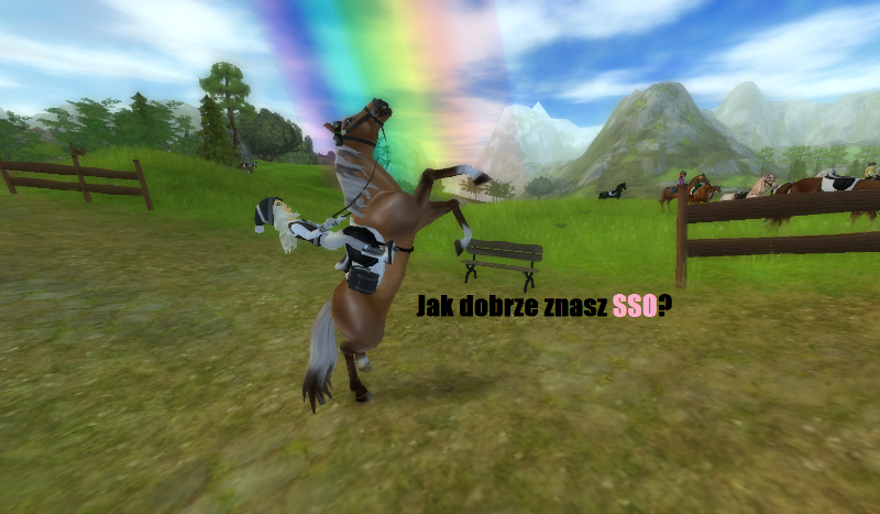 Jak dobrze znasz SSO? | sameQuizy