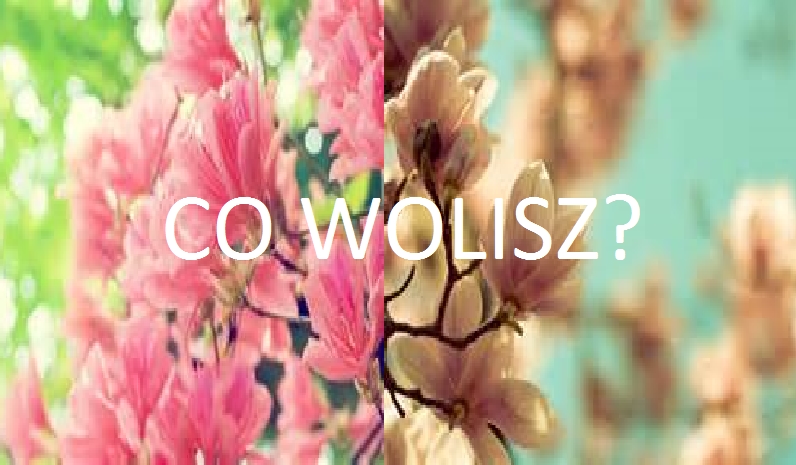 Co wolisz?