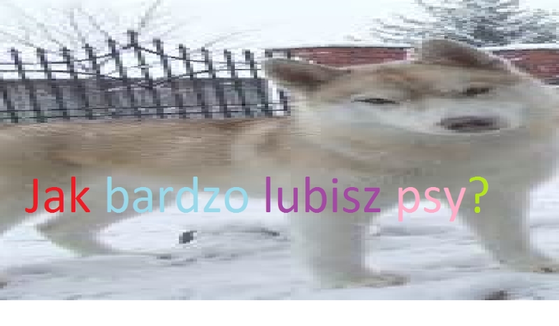 Jak bardzo lubisz psy?