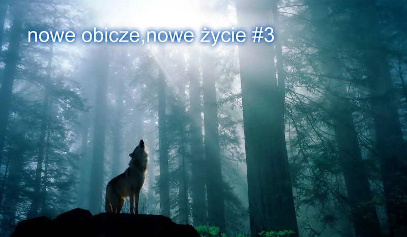 Nowe oblicze, nowe życie #3
