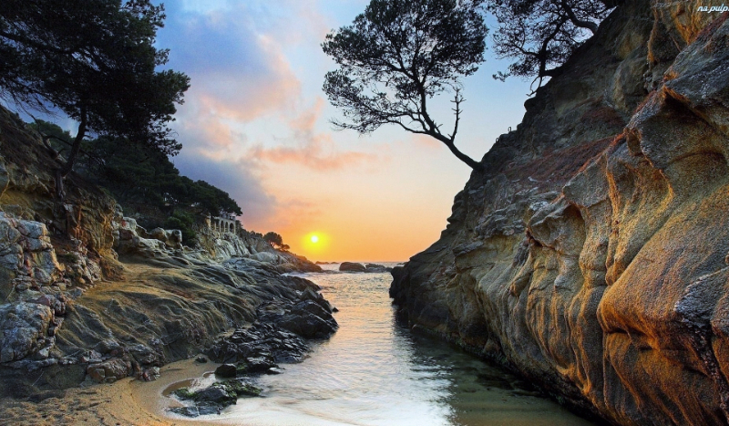 Jak dobrze znasz Reziego?