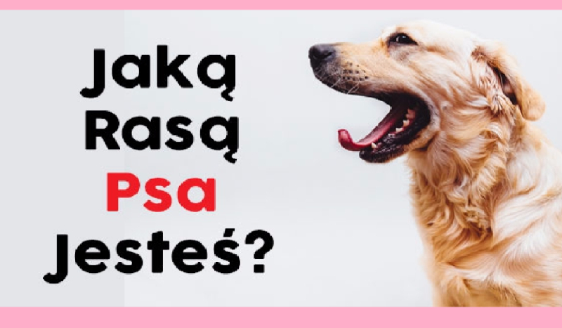 Jaką rasą psa jesteś?