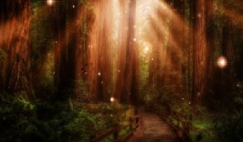 Karina Wyobraźni #2