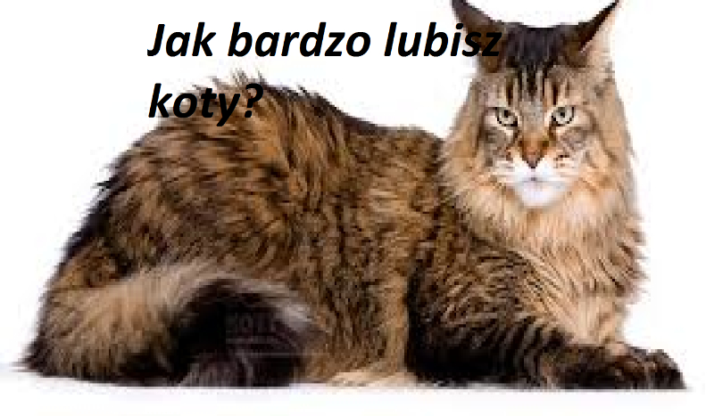Jak bardzo lubisz koty.