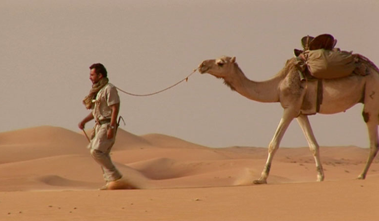 Czy pszetrwasz na pustyni ?