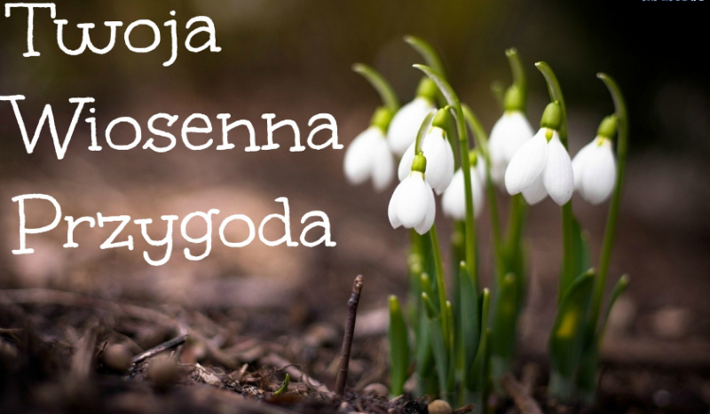 Twoja Wiosenna Przygoda #7