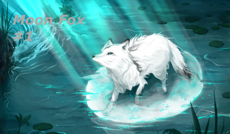 Moon Fox #1