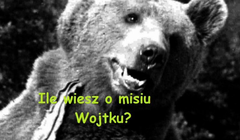 Ile wiesz o misiu Wojtku?