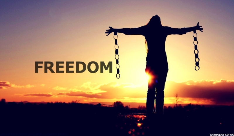 Freedom #1