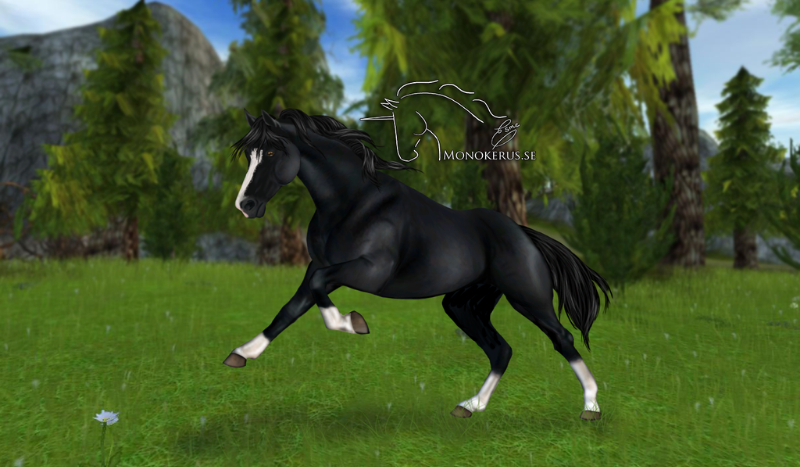 jakim koniem jesteś?