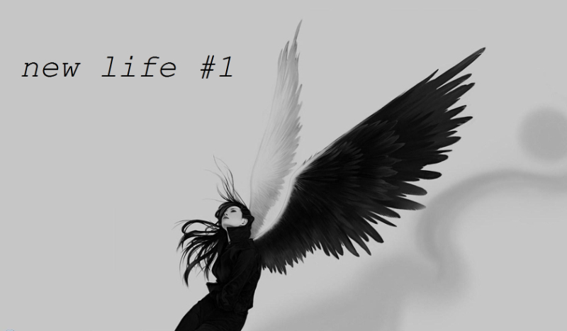 New life #1