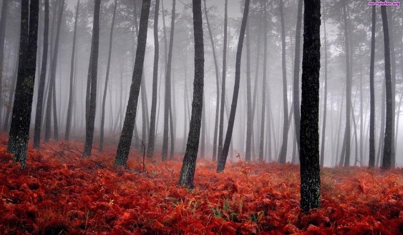 Przeżyjesz w opowieści SagloTC ?