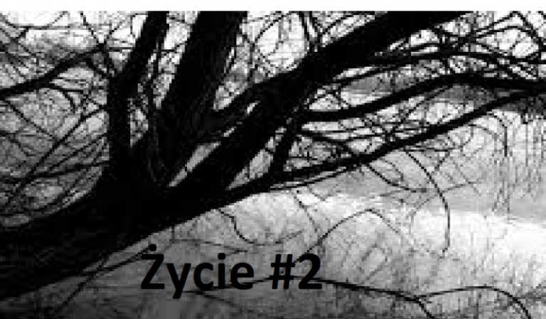 Życie #2