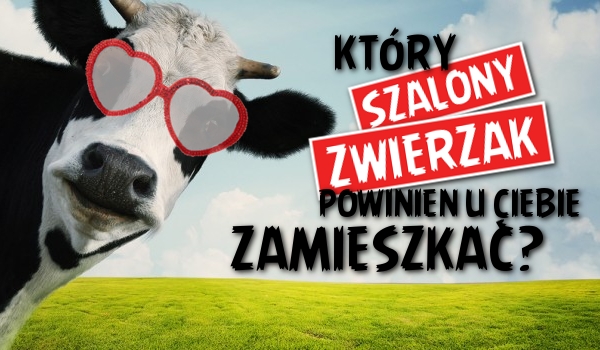 Który szalony zwierzak powinien u ciebie zamieszkać?
